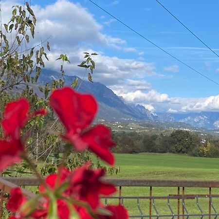 Il Mondo Roverso フェルトレ エクステリア 写真